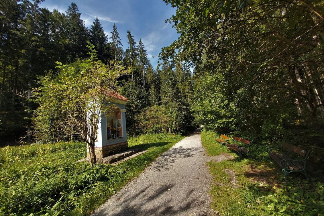 Bike Riding Raabklamm family tour, St. Ruprecht an der Raab - Weiz - Touren-Impression #1 | © Oststeiermark Tourismus