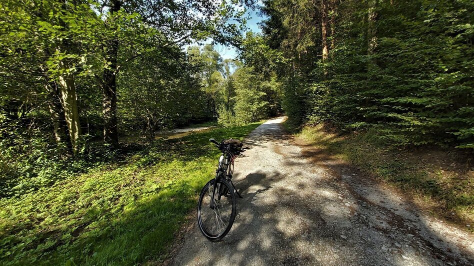 Bike Riding Raabklamm family tour, St. Ruprecht an der Raab - Weiz - Touren-Impression #2.9 | © Oststeiermark Tourismus