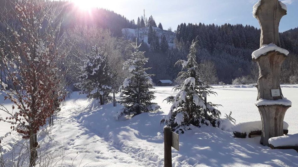 Winter Hiking Winterwanderung am Stanzer Sonnenweg - Touren-Impression #2.3 | © TV Hochsteiermark