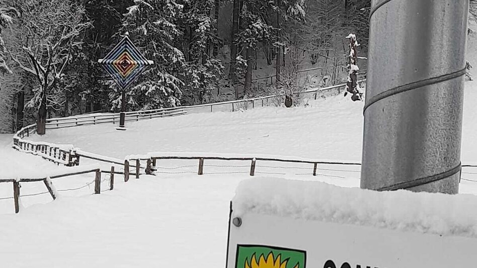 Winter Hiking Winterwanderung am Stanzer Sonnenweg - Touren-Impression #2.4 | © TV Hochsteiermark