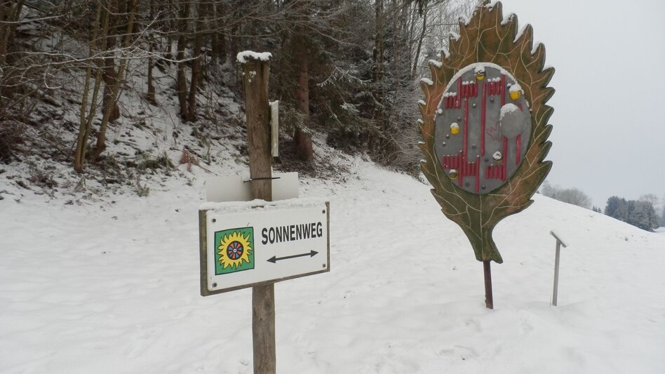 Winter Hiking Winterwanderung am Stanzer Sonnenweg - Touren-Impression #2.6 | © TV Hochsteiermark