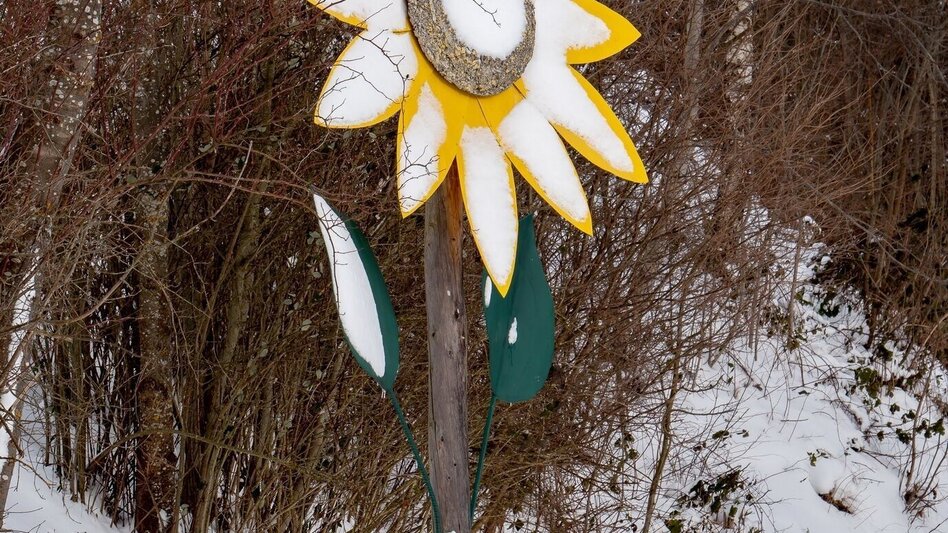 Winter Hiking Winterwanderung am Stanzer Sonnenweg - Touren-Impression #2.7 | © TV Hochsteiermark