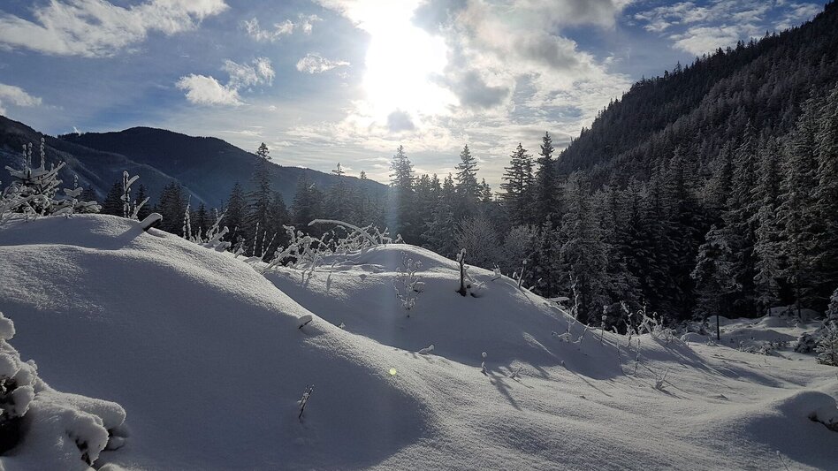 Winter Hiking Winter hiking to the Jassingalm - Touren-Impression #2.2 | © Tourismusverband ERZBERG LEOBEN