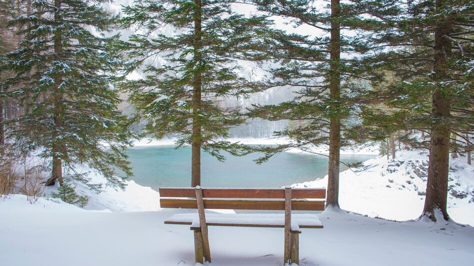Winter Hiking Winter hiking to the Jassingalm - Touren-Impression #2.1 | © Tourismusverband ERZBERG LEOBEN