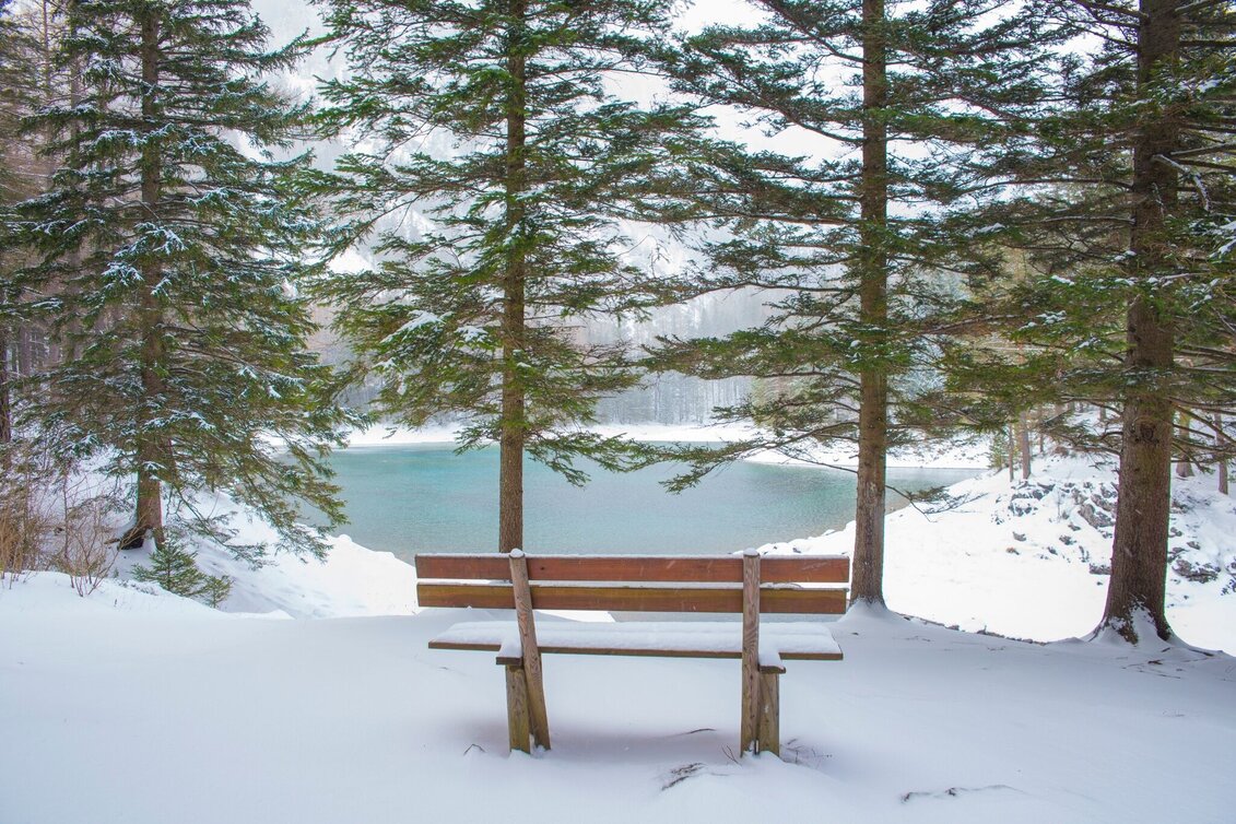 Winter Hiking Winter hiking to the Jassingalm - Touren-Impression #1 | © Tourismusverband ERZBERG LEOBEN