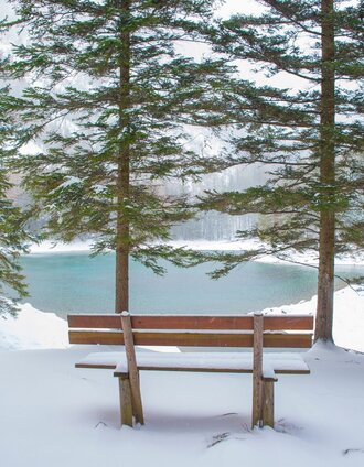 Winter am Grünen See | Eva Roßböck | © Tourismusverband ERZBERG LEOBEN