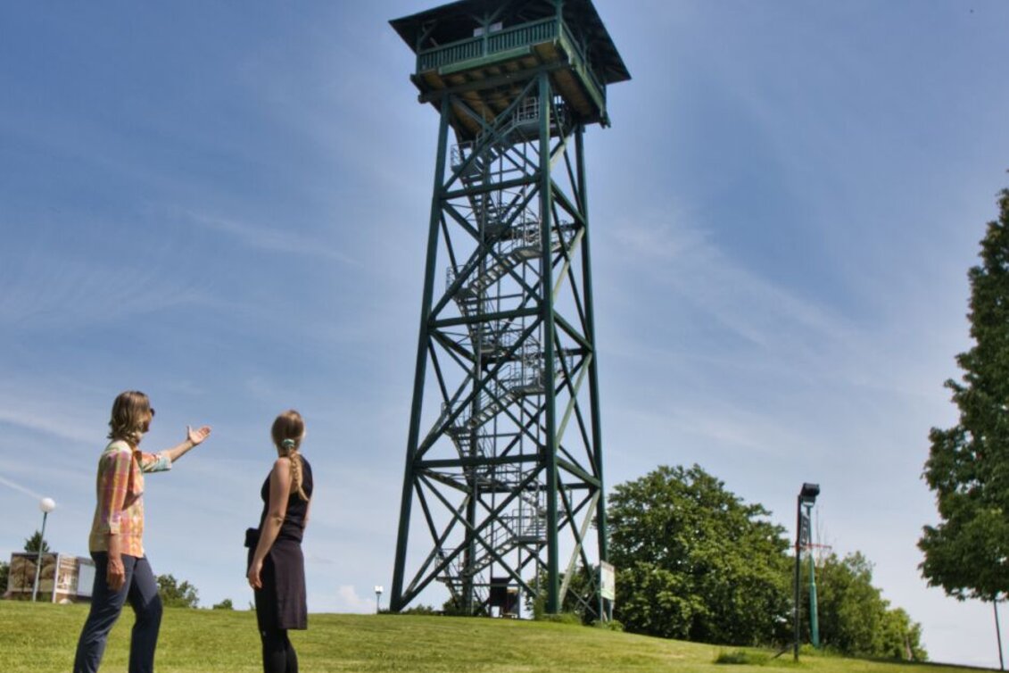 Wanderung Spielfelder Weingärten – Natur – Archäologieweg  - Touren-Impression #1 | © TV Südsteiermark - WEGES