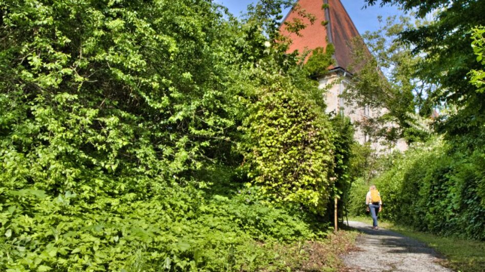 Wanderung Spielfelder Weingärten – Natur – Archäologieweg  - Touren-Impression #2.4 | © TV Südsteiermark - WEGES