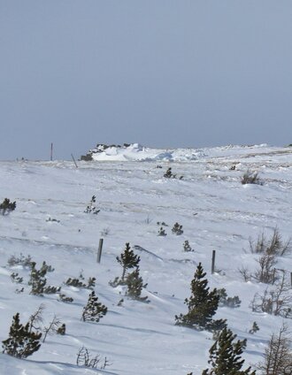 Kurz vorm Gipfel | Weges OG | © Weges OG