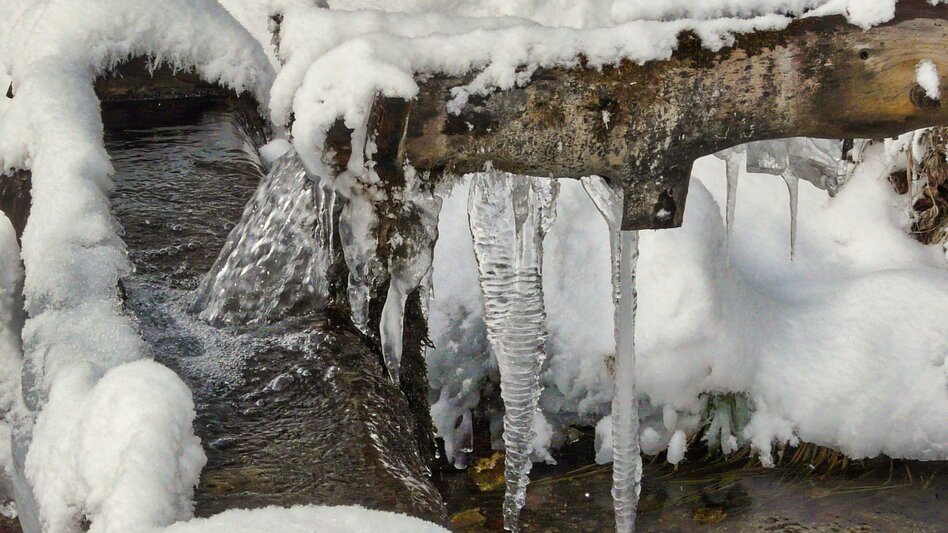 Ski Touring Ski tour Hohe Ranach - Touren-Impression #2.4 | © Weges OG