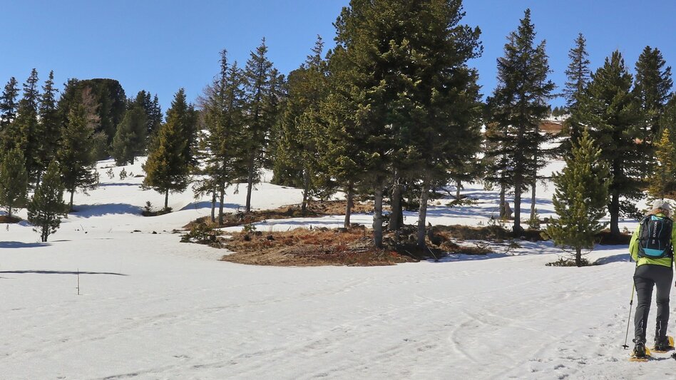 Ski Touring Ski tour Hohe Ranach - Touren-Impression #2.7 | © Weges OG