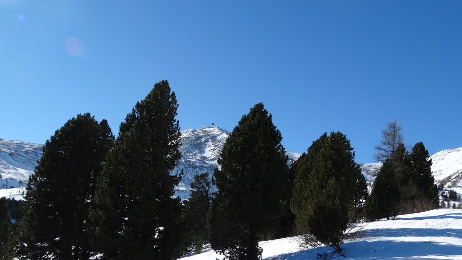 Ski Touring Skiingtour Alpengasthof Sabathy - Zirbitzkogel - Touren-Impression #2.6 | © Erlebnisregion Murtal