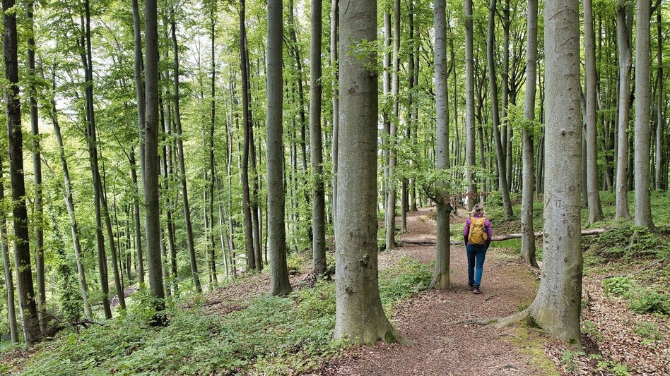 Wanderung Wildoner Kulturwanderweg - Touren-Impression #2.2 | © Weges OG