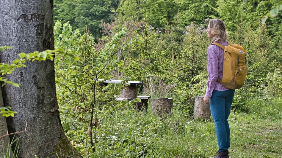 Wanderung Wildoner Kulturwanderweg - Touren-Impression #2.6 | © TV Südsteiermark Weges OG