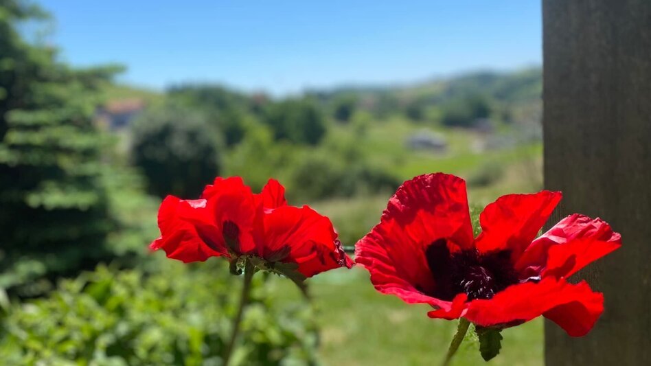 Theme path Experience path Unterlamm (ERLebenspfad Unterlamm) - Touren-Impression #2.3 | © Gemeinde Unterlamm