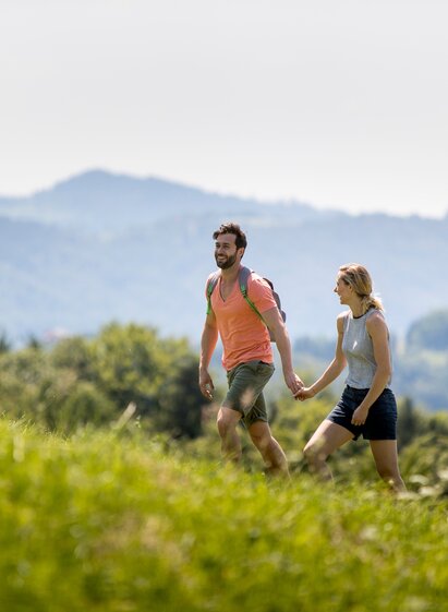 Wandern | © TV Südsteiermark/Tom Lamm | Tom Lamm | © TV Südsteiermark/Tom Lamm