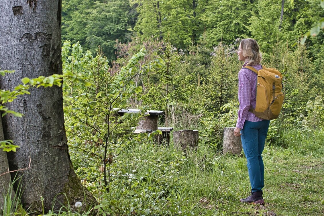 Wanderung Buchkogel Runde - Touren-Impression #1 | © TV Südsteiermark Weges OG