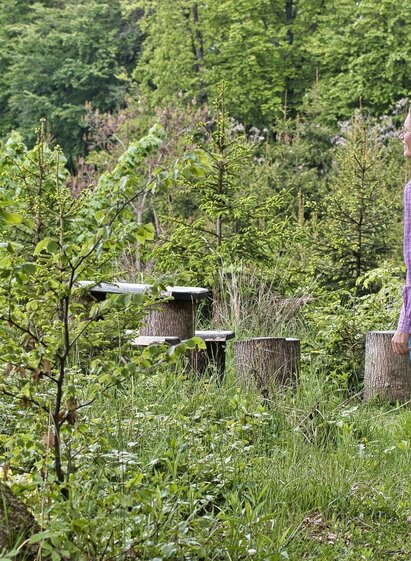 Rastplatz am Buchkogel | © TV Südsteiermark Weges OG | Weges OG | © TV Südsteiermark Weges OG