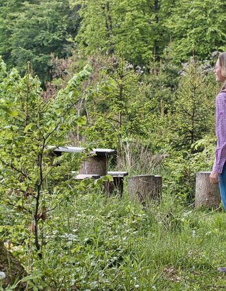 Rastplatz am Buchkogel | Weges OG | © TV Südsteiermark Weges OG