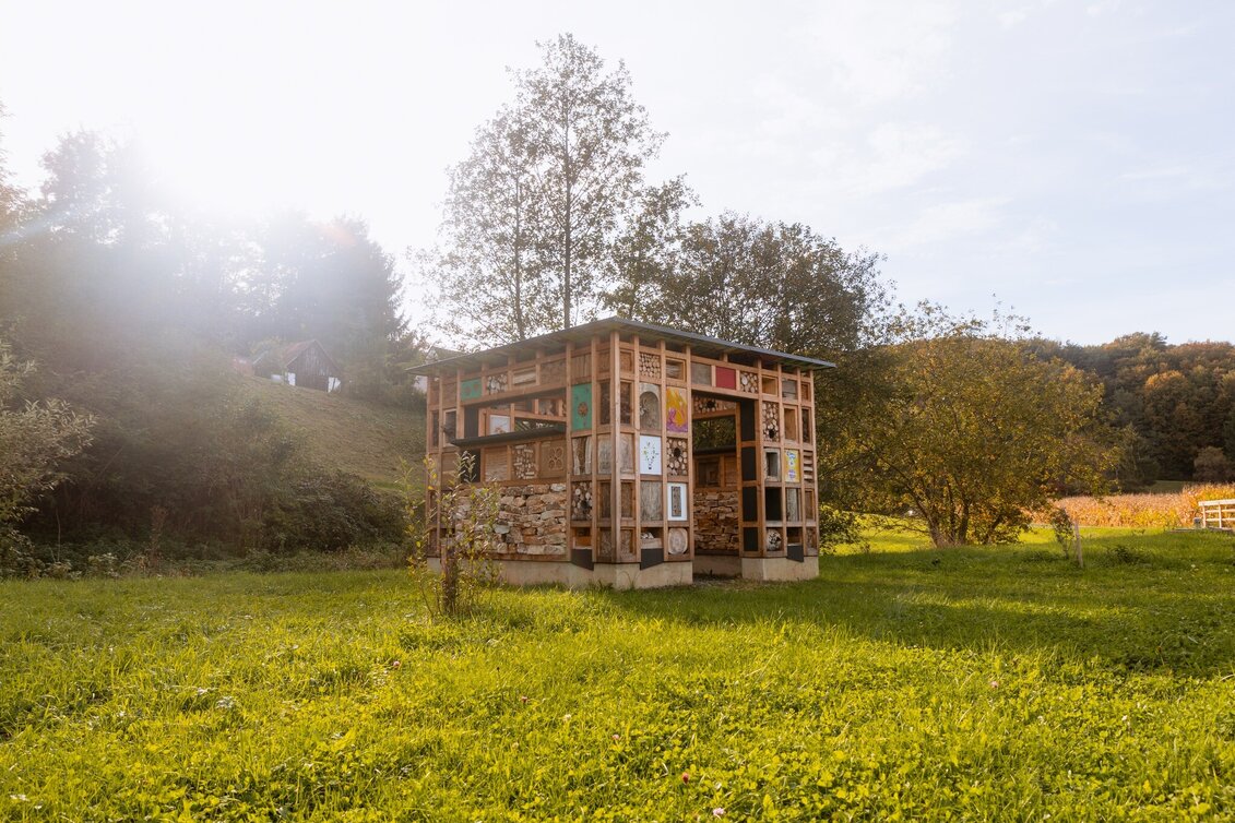 Theme path Experience path Magland (ERLebenspfad Magland) - Touren-Impression #1 | © Gemeinde Unterlamm