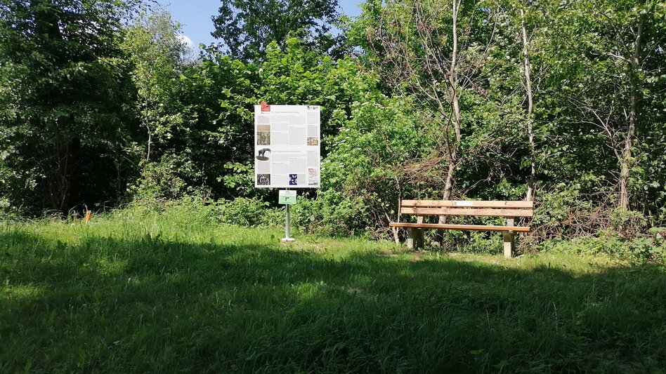 Theme path HWW-Hiking Trail: Lafnitz - St. Ilgen (circular trail) - Touren-Impression #2.2 | © Historischer Verein Wechselland - Dr. Andreas Salmhofer