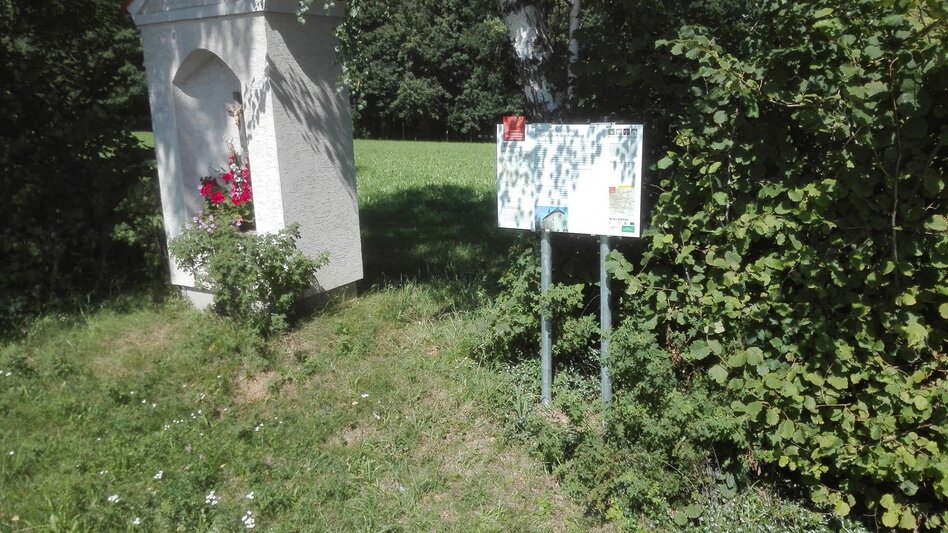 Theme path HWW-Hiking route: Dechantskirchen - Moarhofbauern-Kreuz - Schlagriegel (circular trail) - Touren-Impression #2.3 | © Historischer Verein Wechselland - Dr. Andreas Salmhofer