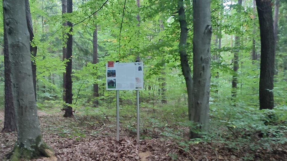 Themen- und Lehrpfad HWW-Wanderroute: St. Ilgen - Kroisbach - Ehrenschachen - Sinnersdorf - Dreiländerstein - Touren-Impression #2.2 | © Historischer Verein Wechselland - Dr. Andreas Salmhofer