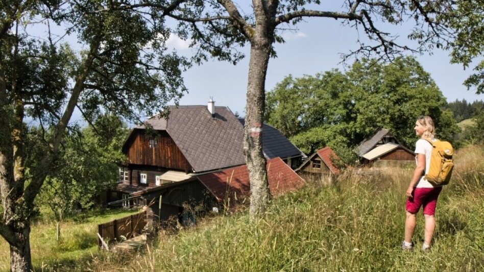 Hiking route Grenzpanoramarunde – Tour 35 lt. WK „Von der Alm zum Wein“ - Touren-Impression #2.3 | © WEGES