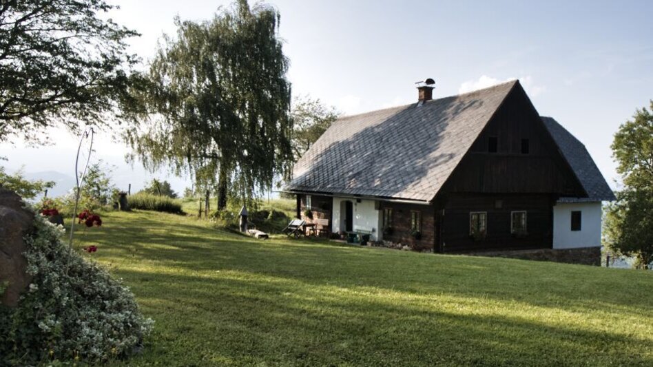 Hiking route Grenzpanoramarunde – Tour 35 lt. WK „Von der Alm zum Wein“ - Touren-Impression #2.4 | © WEGES