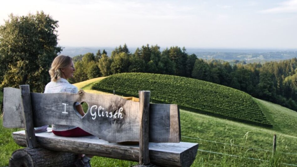 Hiking route Grenzpanoramarunde – Tour 35 lt. WK „Von der Alm zum Wein“ - Touren-Impression #2.6 | © WEGES
