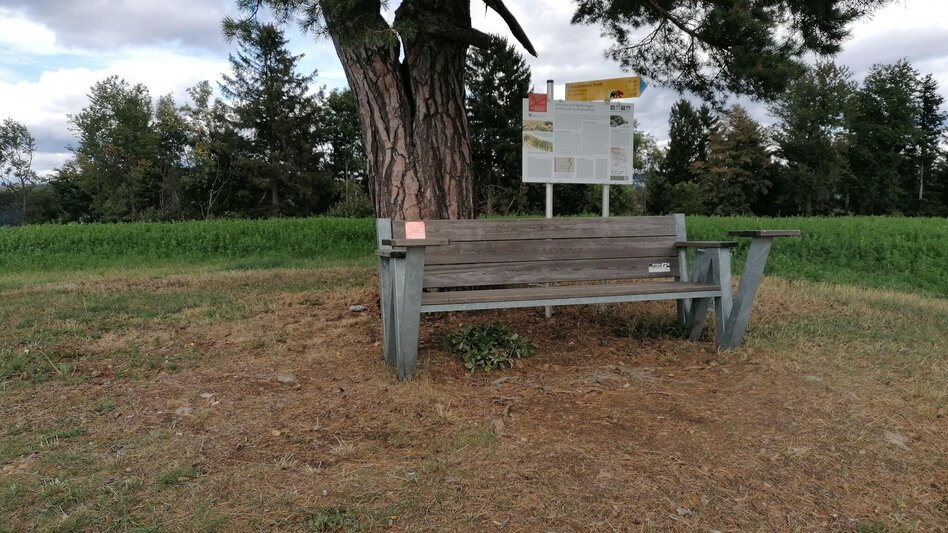Themen- und Lehrpfad HWW-Wanderroute: Schäffern - Laglmühle - Götzendorf - Dreiländerstein - Touren-Impression #2.3 | © Historischer Verein Wechselland - Dr. Andreas Salmhofer