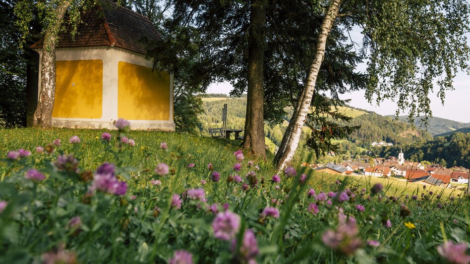 Themen- und Lehrpfad HWW-Wanderroute: Schäffern - Tauchen/Wechsel - Koglreith - Hilmtor - Trahütte - Touren-Impression #2.3 | © Oststeiermark Tourismus