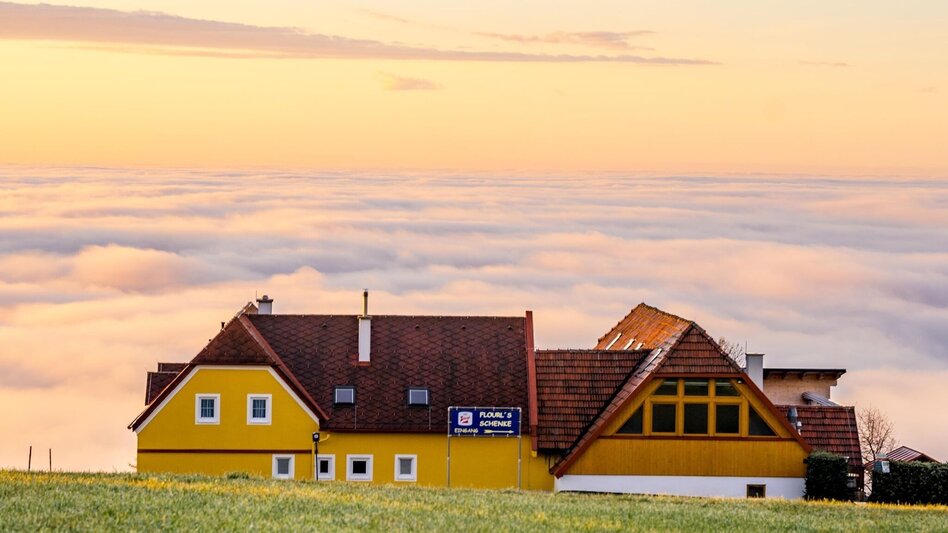 Themen- und Lehrpfad HWW-Wanderroute: Dechantskirchen - Hohenau/Kapelle - Flourls Schenke - Stögersbach (RWW) - Touren-Impression #2.3 | © Oststeiermark Tourismus