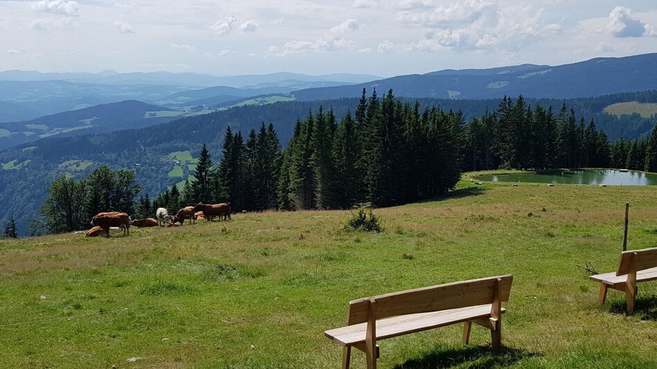 Themen- und Lehrpfad HWW-Wanderroute: Rohrbach/Lafnitz - Römerhütte - Auerbach - Trahütte - Touren-Impression #2.6