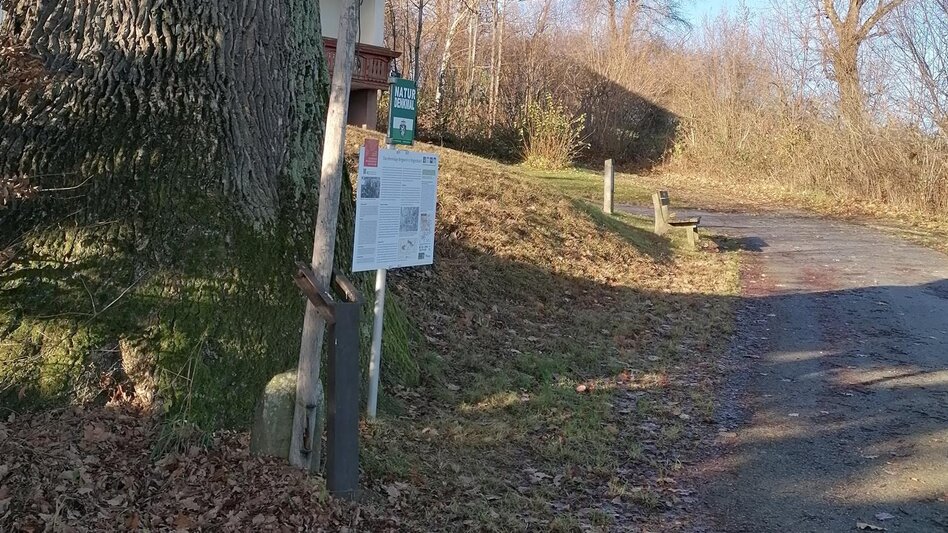 Theme path HWW-Hiking route: Pinggau - Friedberg - Stögersbach - Dechantskirchen - Touren-Impression #2.4 | © Historischer Verein Wechselland - Dr. Andreas Salmhofer