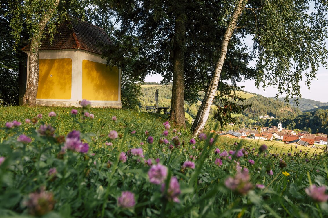 Themen- und Lehrpfad HWW-Wanderroute: Schäffern - Mönichkirchen - Touren-Impression #1 | © Oststeiermark Tourismus