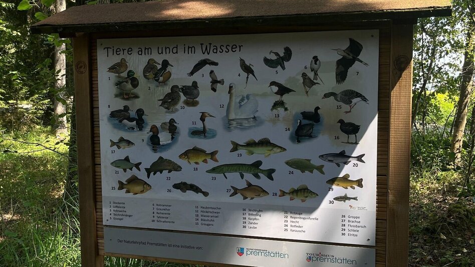 Wanderung Naturlehrpfad Premstätten - Touren-Impression #2.3 | © Region Graz