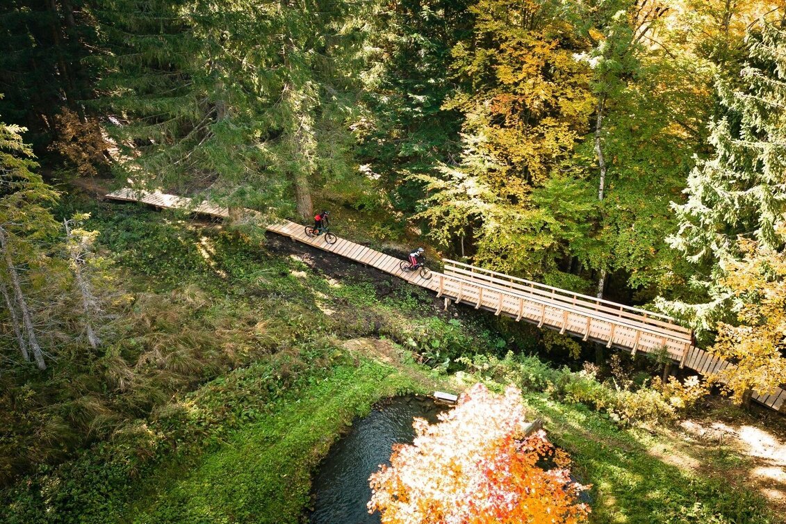 Mountainbike S501 Augst Trail - Touren-Impression #1 | © TVB Ausseerland Salzkammergut