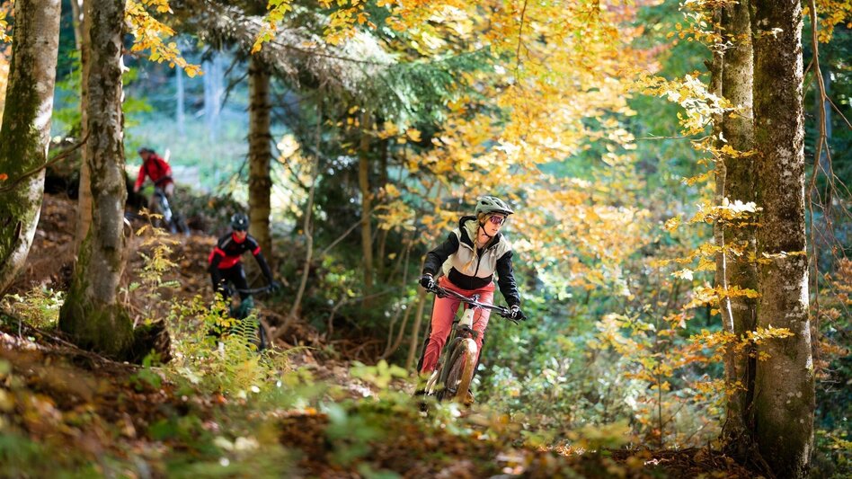 Mountainbike S501 Augst Trail - Touren-Impression #2.3 | © TVB Ausseerland Salzkammergut