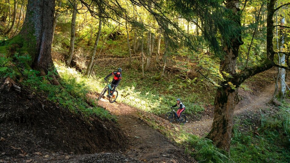 Mountainbike S501 Augst Trail - Touren-Impression #2.4 | © TVB Ausseerland Salzkammergut