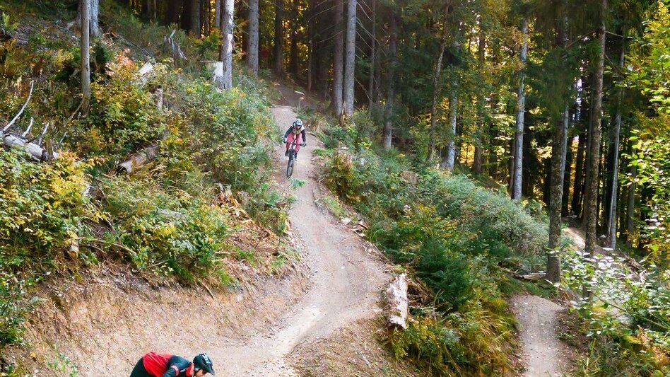 Mountainbike S501 Augst Trail - Touren-Impression #2.5 | © TVB Ausseerland Salzkammergut
