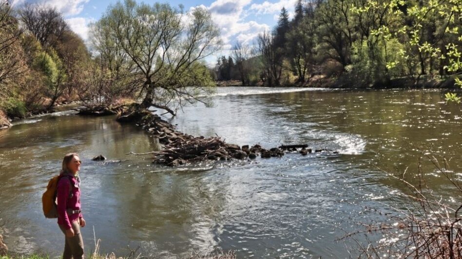 Wanderung Wandern entlang der Mur - Touren-Impression #2.3 | © TV Südsteiermark/Weges OG