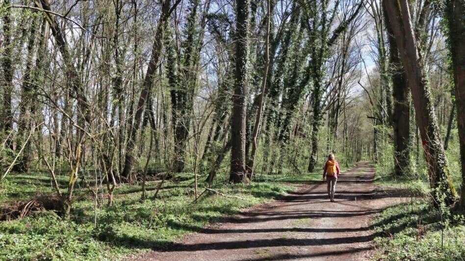 Wanderung Wandern entlang der Mur - Touren-Impression #2.1 | © TV Südsteiermark/Weges OG