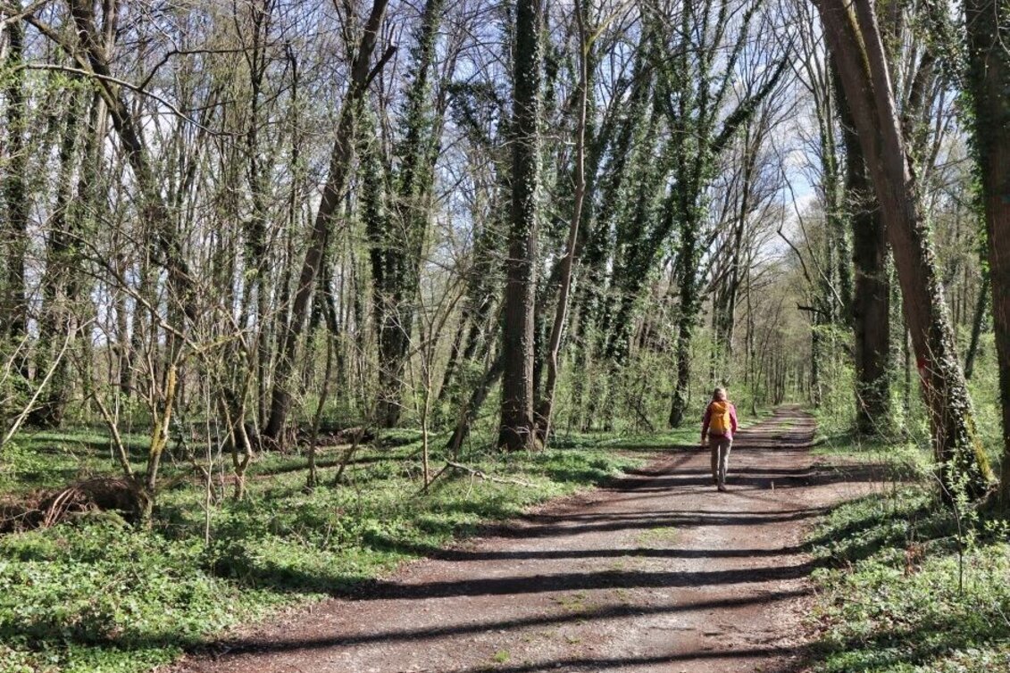 Wanderung Wandern entlang der Mur - Touren-Impression #1 | © TV Südsteiermark/Weges OG
