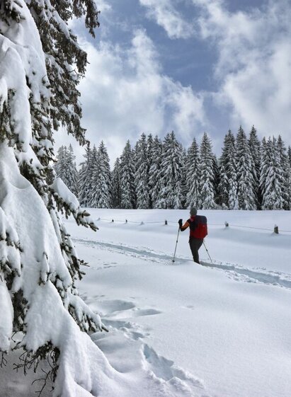 Die Wanderung führt eben über die Almflächen | © Weges OG | Weges OG | © Weges OG