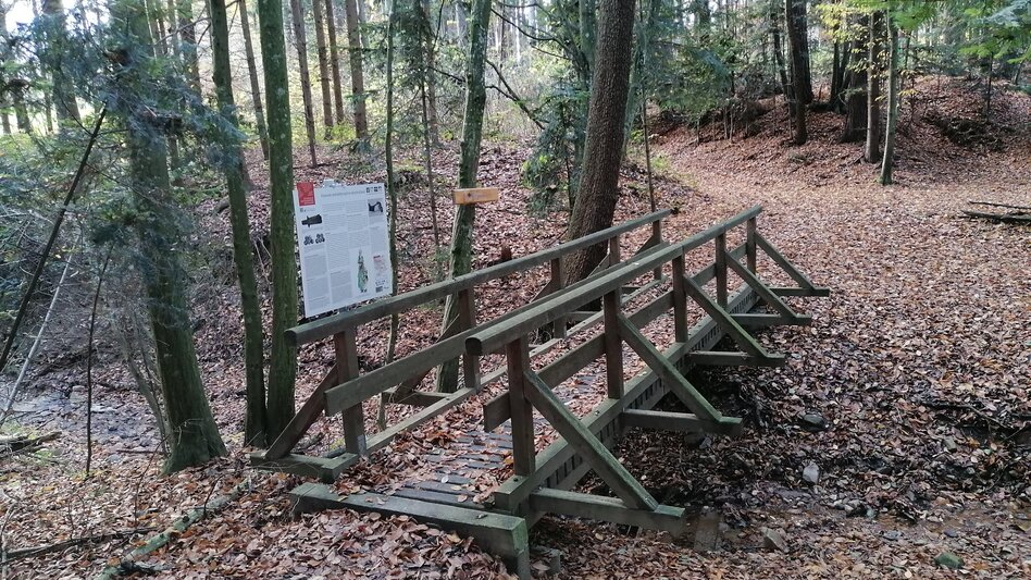 Theme path HWW-Hiking route: Lebing/Römergrab - Römerhütte - Ehrenschachen - Götzendorf/Römergrab - Touren-Impression #2.6 | © Historischer Verein Wechselland - Dr. Andreas Salmhofer