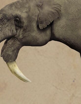 Historic long-distance hiking trail Wechselland - old building | Andreas Salmhofer | © Historischer Verein Wechselland