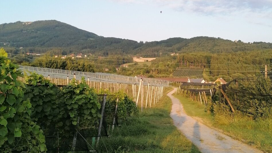 Hiking route Eiteljörg circular route, Puch bei Weiz - Touren-Impression #2.1 | © Oststeiermark Tourismus