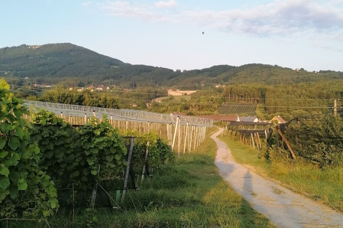 Hiking route Eiteljörg circular route, Puch bei Weiz - Touren-Impression #1 | © Oststeiermark Tourismus