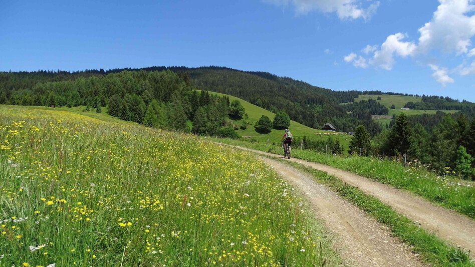 Mountainbike MTB Tour 59k- Steinplan von Kleinlobming - Touren-Impression #2.3 | © Weges OG